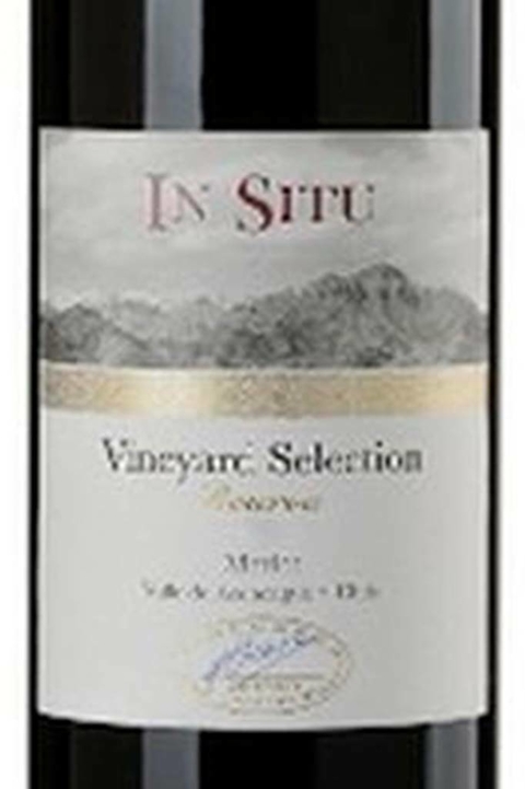 Vinho Chileno Tinto In Situ Merlot Reserva 750ml - comprar online