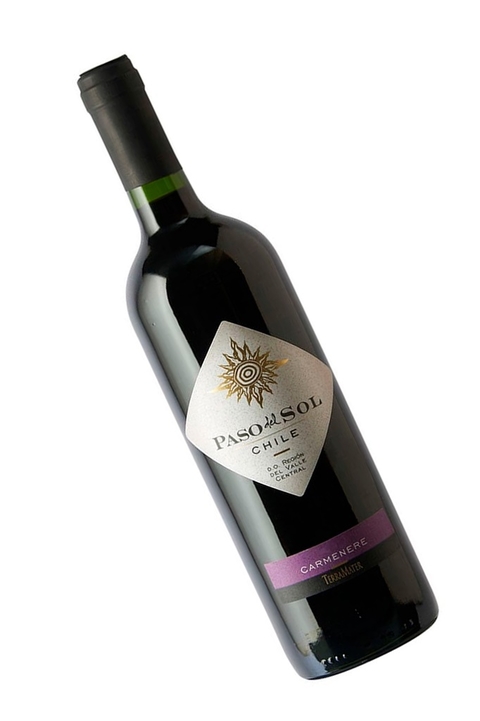 Vinho Chileno Tinto Paso Del Sol Carmenere 750ml na internet