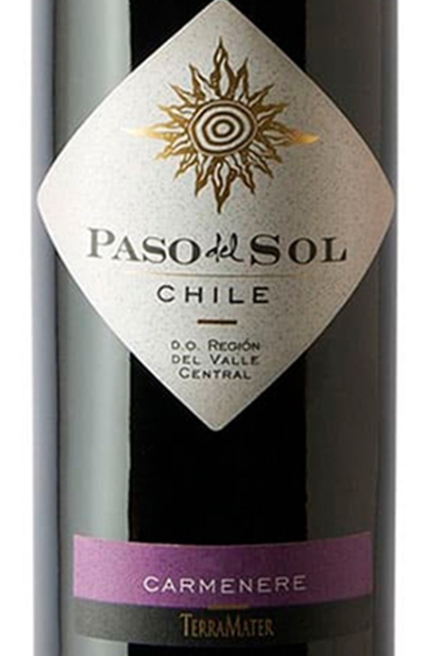 Vinho Chileno Tinto Paso Del Sol Carmenere 750ml - comprar online