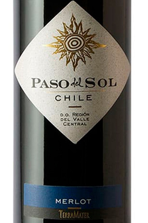 Vinho Chileno Tinto Paso Del Sol Merlot 750ml - comprar online