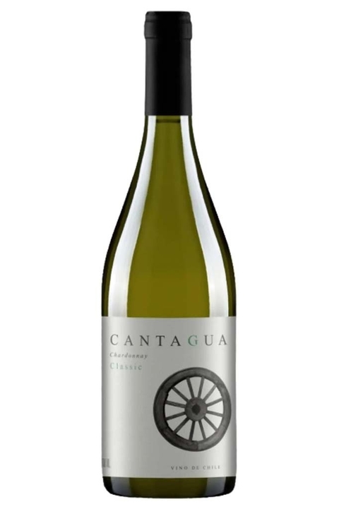 Vinho Chileno Branco Cantagua Classic Chardonnay 750ml