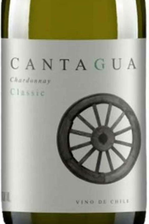 Vinho Chileno Branco Cantagua Classic Chardonnay 750ml - comprar online