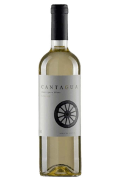 Vinho Chileno Tinto Cantagua Classic Sauvignon blanc 750ml - EMPÓRIO ITIÊ