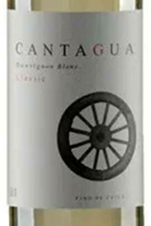 Vinho Chileno Tinto Cantagua Classic Sauvignon blanc 750ml - comprar online