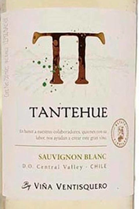 Vinho Chileno Branco Tantehue Sauvignon Blanc 750ml - comprar online