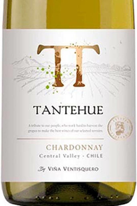 Vinho Tantehue Chardonnay 750ml - comprar online