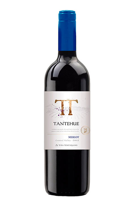 Vinho Chileno Tinto Tantehue Merlot 750ml