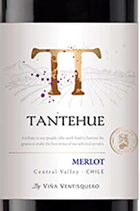 Vinho Chileno Tinto Tantehue Merlot 750ml - comprar online