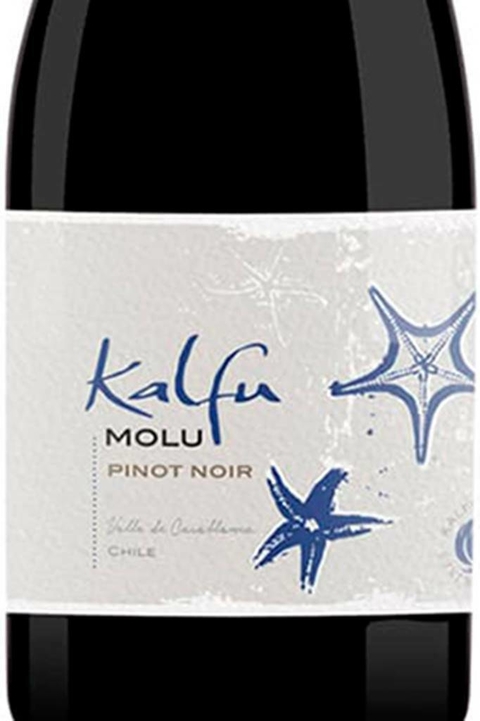 Vinho Chileno Tinto Kalfu Molu Pinot Noir 750ml - comprar online