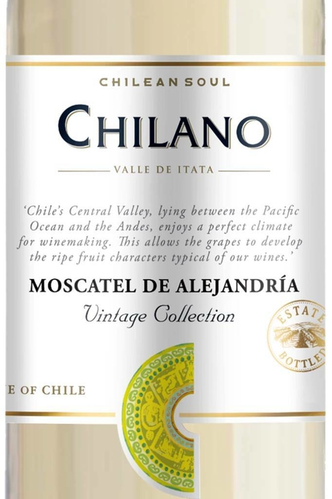 Vinho Chileno Branco Chilano Moscato 750ml - comprar online
