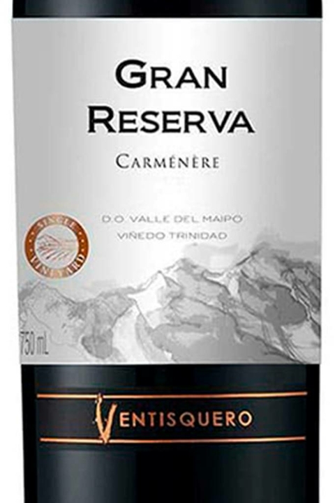 Vinho Chileno Tinto Ventisquero Gran Reserva Camernere 750ml - comprar online