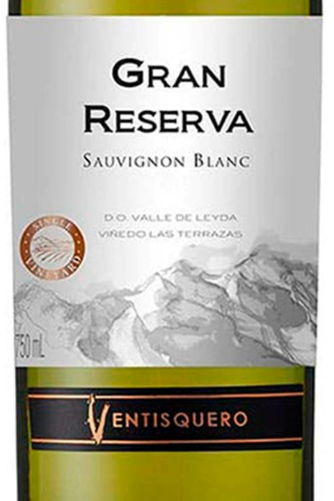 Vinho Chileno Branco Ventisquero Gran Reserva Sauvignon Blanc 750ml - comprar online