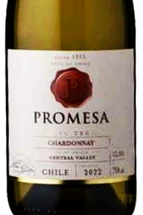 Vinho Chileno Branco Promesa Chardonnay 750ml - comprar online