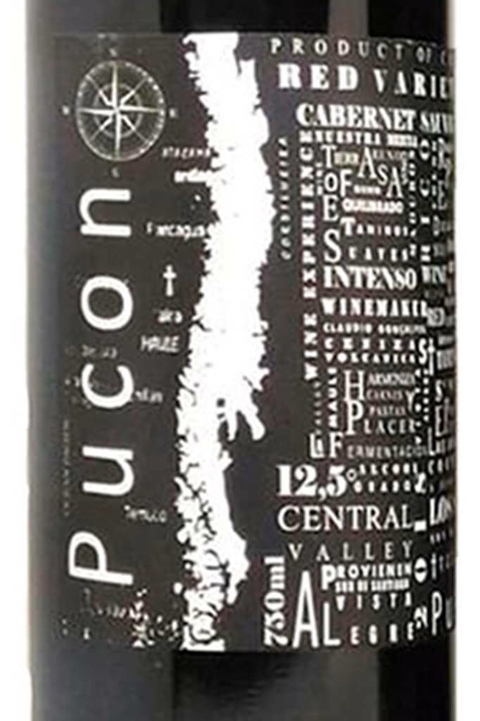 Vinho Pucon Cabernet Sauvignon 750ml - comprar online