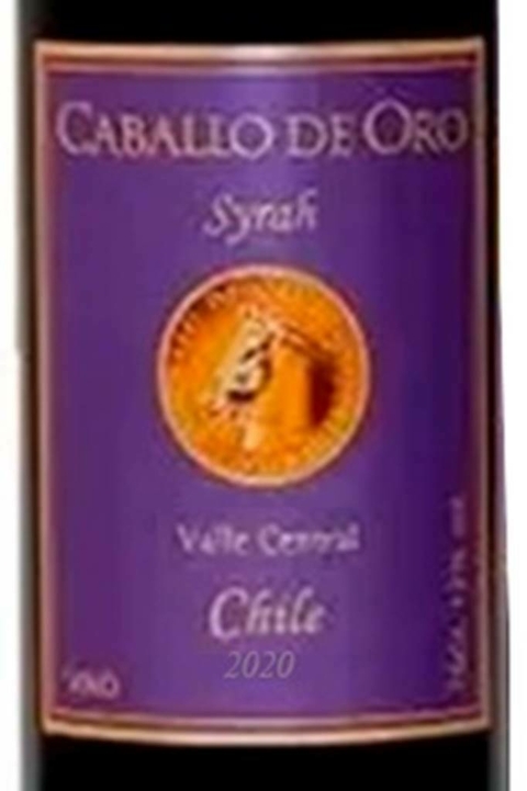 Vinho Chileno Tinto Caballo De Oro Syrah 750ml - comprar online