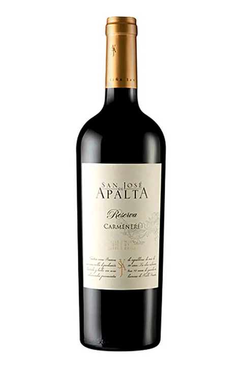 Vinho Chileno Tinto San Jose De Apalta Carmenere Reserva 750ml