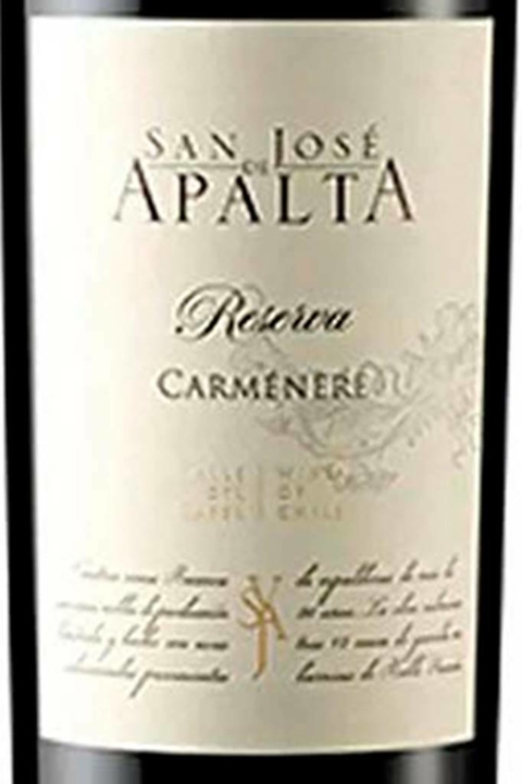 Vinho Chileno Tinto San Jose De Apalta Carmenere Reserva 750ml - comprar online