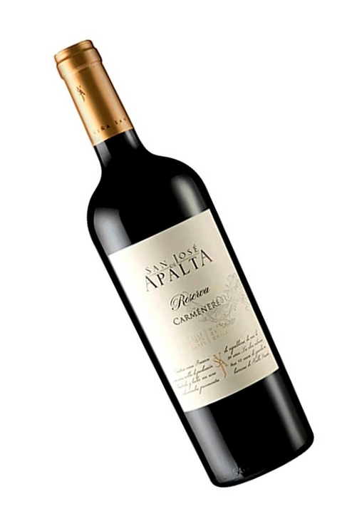 Vinho Chileno Tinto San Jose De Apalta Carmenere Reserva 750ml na internet