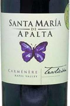 Vinho Chileno Tinto Santa Maria De Apalta Carmenere 750ml - comprar online