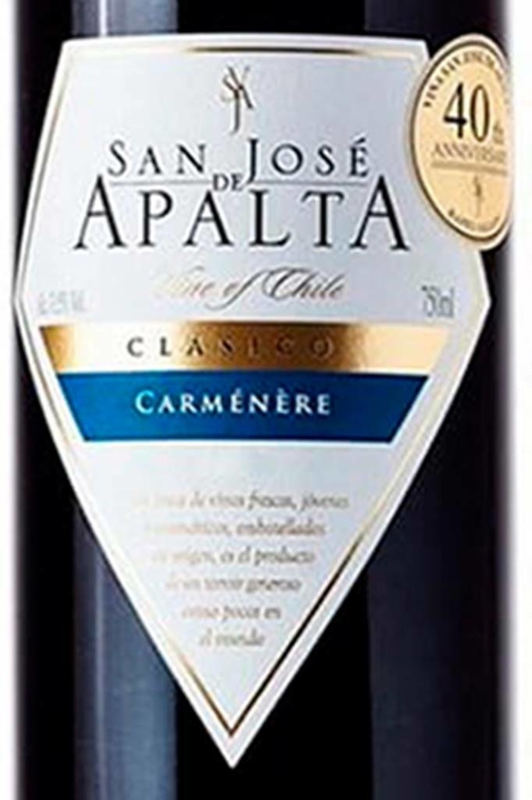 Vinho Chileno Tinto San Jose De Apalta Clássico Carmenere 750ml - comprar online