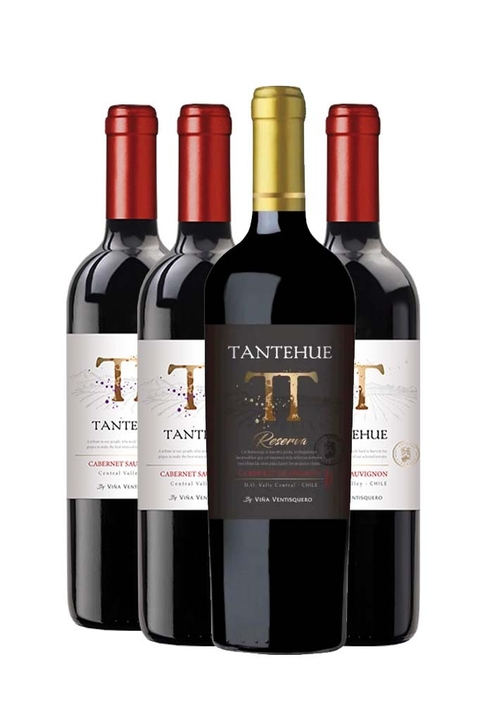 Vinho Leve 4 Pague 3 Tantehue Cabernet Sauvignon 750ml - comprar online