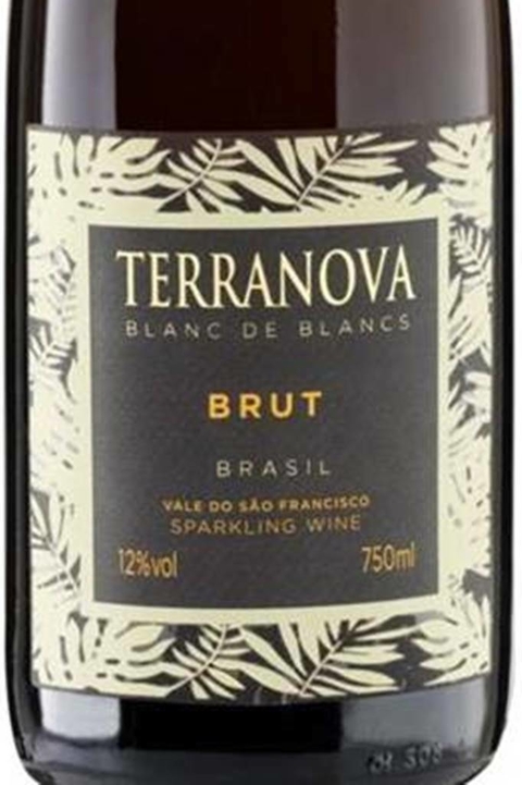 Vinho Nacional Branco Terranova Espumante Brut 750ml - comprar online