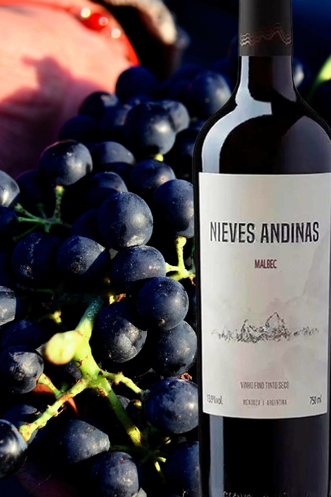 Vinho Argentino Tinto Nieves Andinas Malbec 750ml - EMPÓRIO ITIÊ