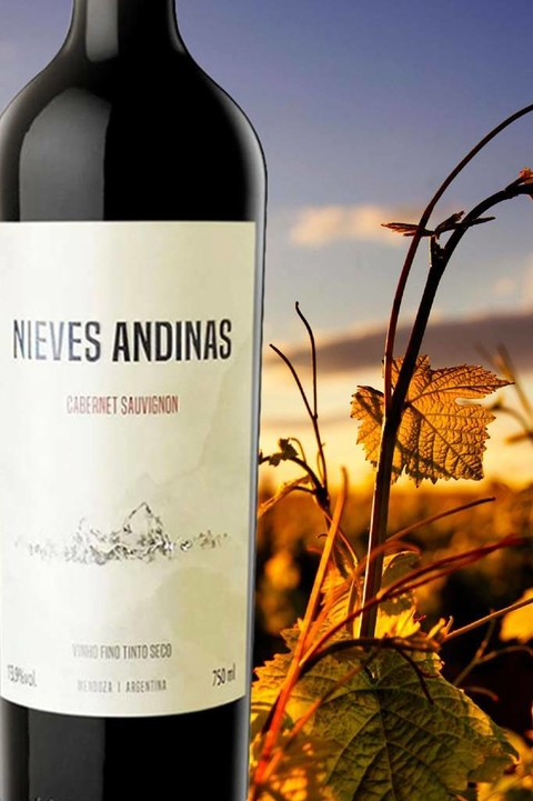 Vinho Argentino Tinto Nieves Andinas Cabernet Sauvignon 750ml - EMPÓRIO ITIÊ