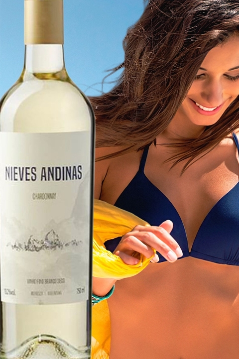 Vinho Argentino Branco Nieves Andinas Chardonnay 750ml - EMPÓRIO ITIÊ
