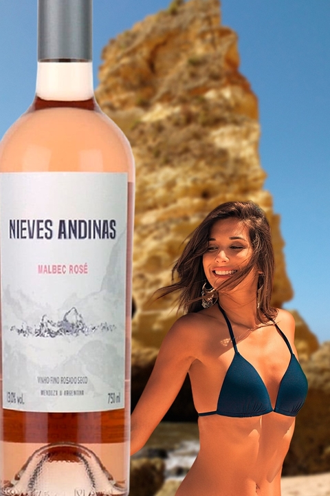 Vinho Argentino Rosé Nieves Andinas Malbec 750ml - EMPÓRIO ITIÊ