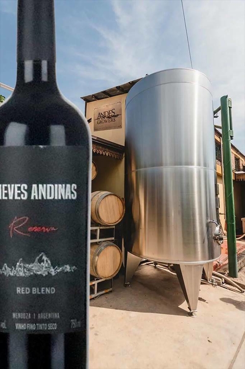 Nieves Andinas Red Blend Reserva 750ml - EMPÓRIO ITIÊ