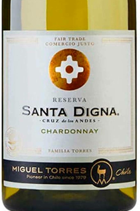 Vinho Chileno Branco Santa Digna Chardonnay Reserva 750ml - comprar online