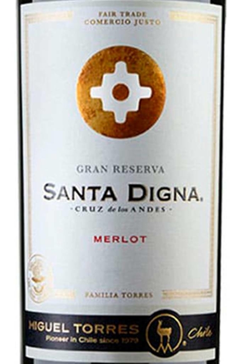 Vinho Santa Digna Merlot Gran Reserva 750ml - comprar online