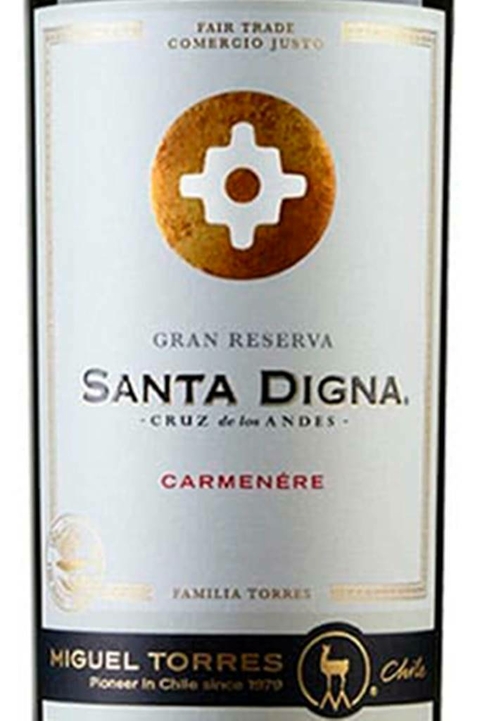 Vinho Chileno Tinto Santa Digna Carmenere Gran Reserva 750ml - comprar online
