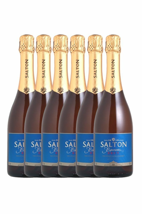 Vinho Nacional Branco Kit 6 Espumante Salton Brut 750ml na internet