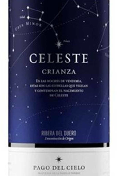 Vinho Espanhol Tinto Torres Celeste Crianza 750ml - comprar online