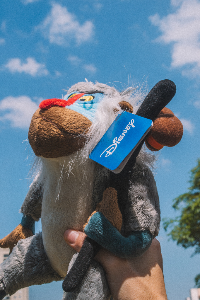 Disney best sale rafiki plush