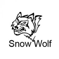 Banner de la categoría SNOW WOLF