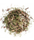 Yerba Mate Lemon Lata 250g Mate Co - comprar online