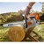 MOTOSIERRA 45.4cc - STIHL MS250 en internet