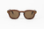 Capri Brown Glasses on internet