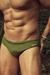 Sunga Brief Cactus Verde - comprar online