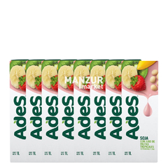 ADES FRUTAS TROPICALES 1000 X 8