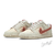 Tênis Nike Dunk Low Terry Swoosh na internet