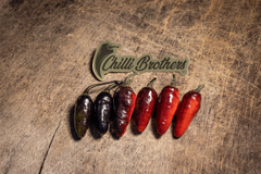 12 sementes de Pimenta Neyde - Chilli Brothers Pimentas: Uma Experiência Gastronômica