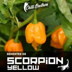 12 sementes de Pimenta Trinidad Scorpion Yellow Chilli Brothers