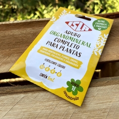 Kit Cultivo PIMENTAS GASTRONÔMICAS - Chilli Brothers Pimentas: Uma Experiência Gastronômica