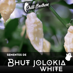 12 sementes de Pimenta Bhut Jolokia White Chilli Brothers