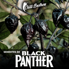 12 sementes de Pimenta Black Panther