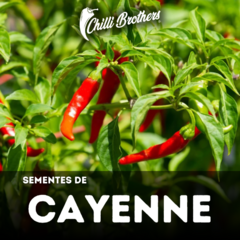 pimenta Cayenne